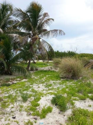 16 acres de propriété insulaire de premier ordre sur l'atoll ...