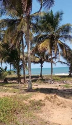 TERRENO IN VENDITA AD ASSINI, BASSAM E ABIDJAN SUL MAR E SULLA LAGUNA 