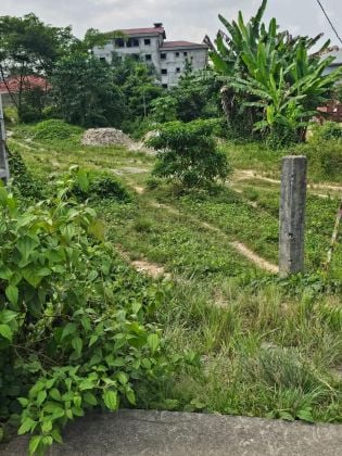Terrain à vendre à Yassa Nkolbong, Douala