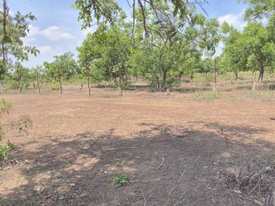 UN TERRAIN DE 1,7 HECTARES EN VENTE À LOUMBILA SUR PERFECTOR ...