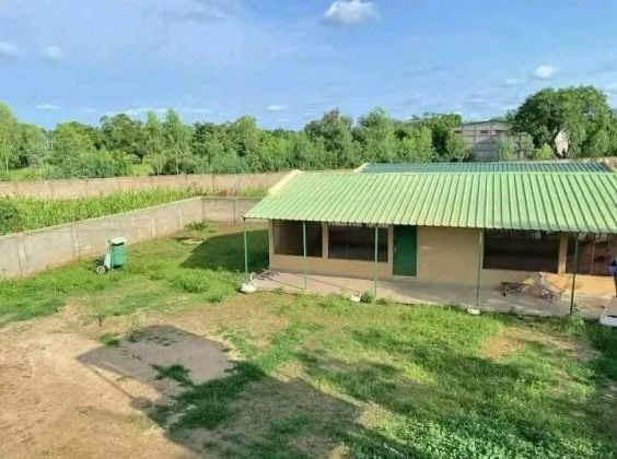 Ferme en vente à koubri 