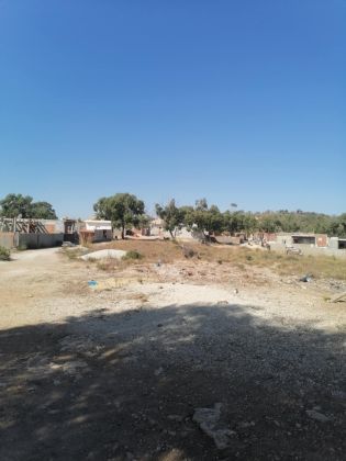 Ariana Rouad Jafar bonne affaire 