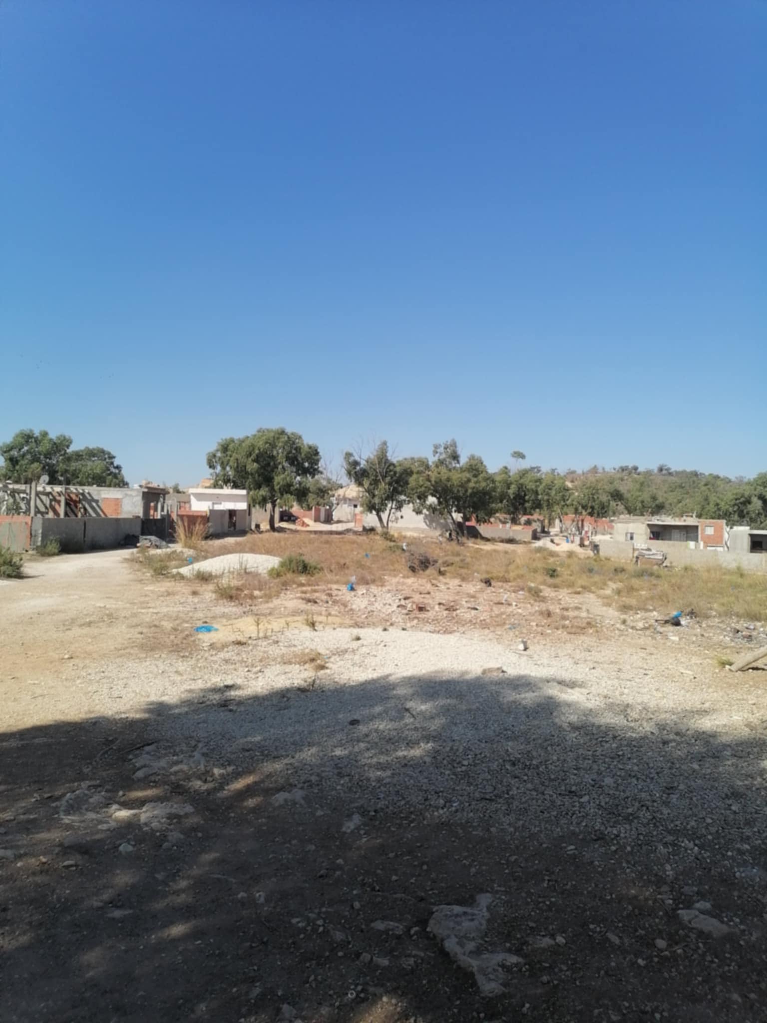 Ariana Rouad Jafar bonne affaire 