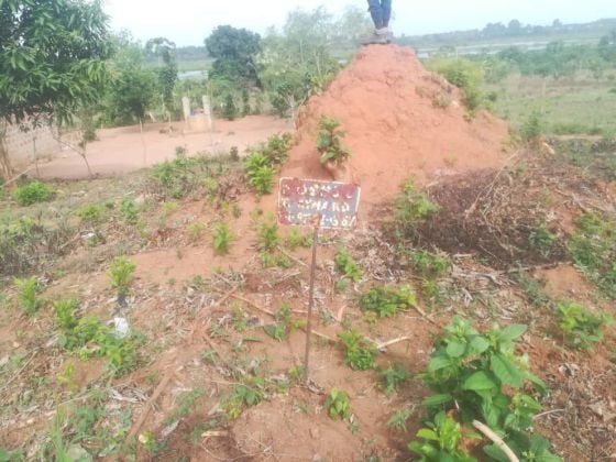 Parcelle a vendre a hevi�