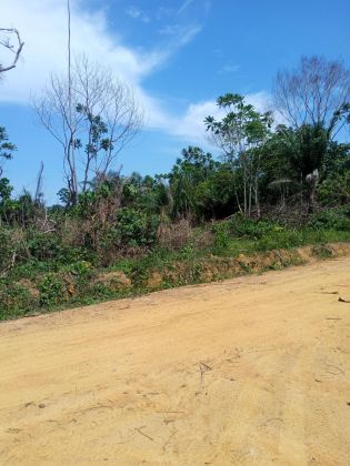 Terrain titré à vendre à kribi 1er. Un espace de ...
