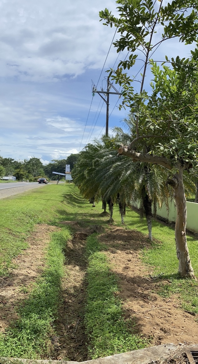 Land Near Cahuita National Park — 4,000 m² With Title