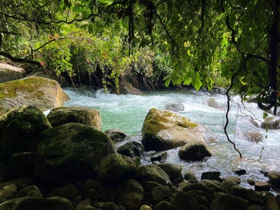 For Sale: Lot in Santa Elena Perez Zeledon – 2000m²