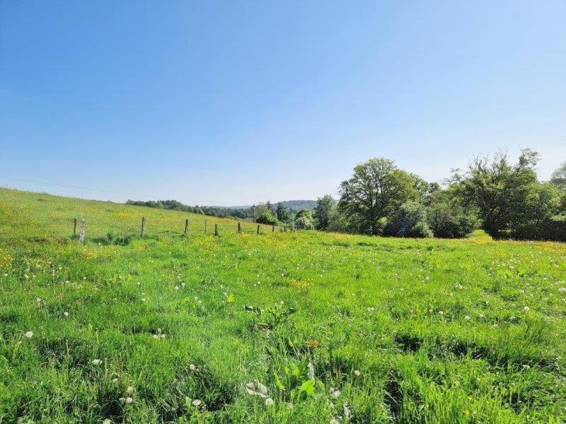 Belgique 6830 Les Hayons : superbe terrain de 1Ha 44a 66ca. Vallée de la Semois.