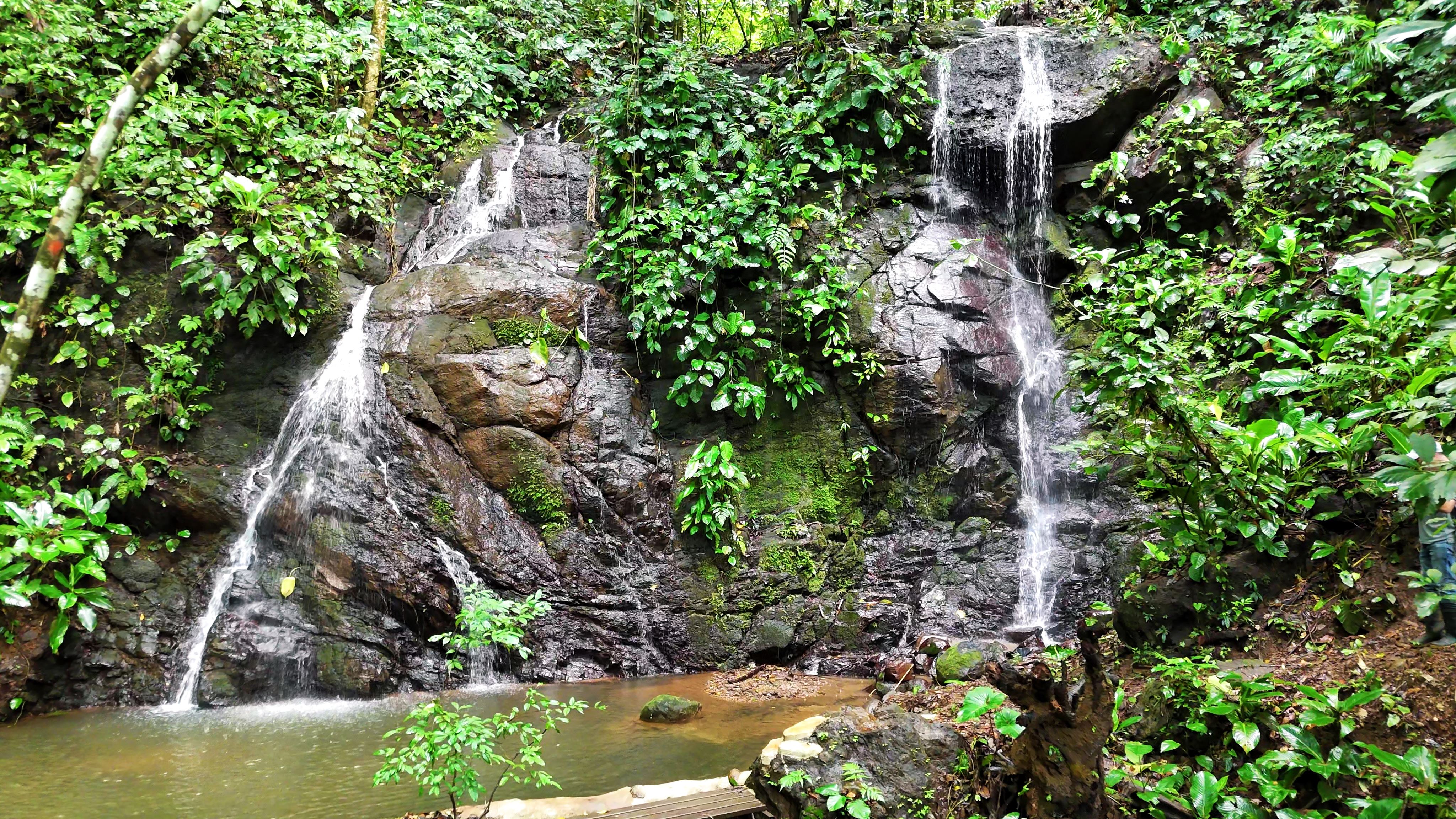 En venta: Paraíso de 31,860m² con vista al mar en Matapalo, Quepos