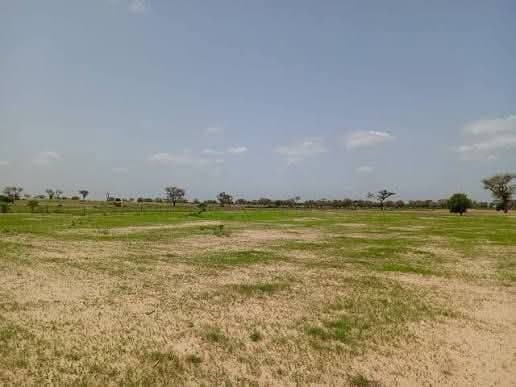 LARGE PLOT OF LAND FOR SALE IN THE COMMUNE OF NTOUM 