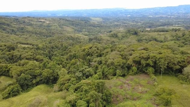 En venta: Lote de casi 1,4 hectáreas con vistas abiertas al Valle ...