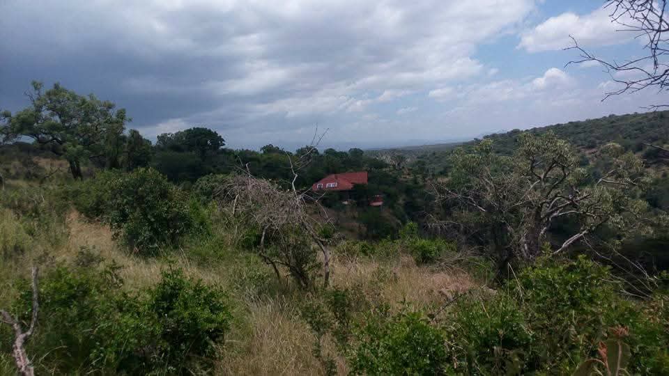 42 acres de terrain aménagé près du country club d'Abadares