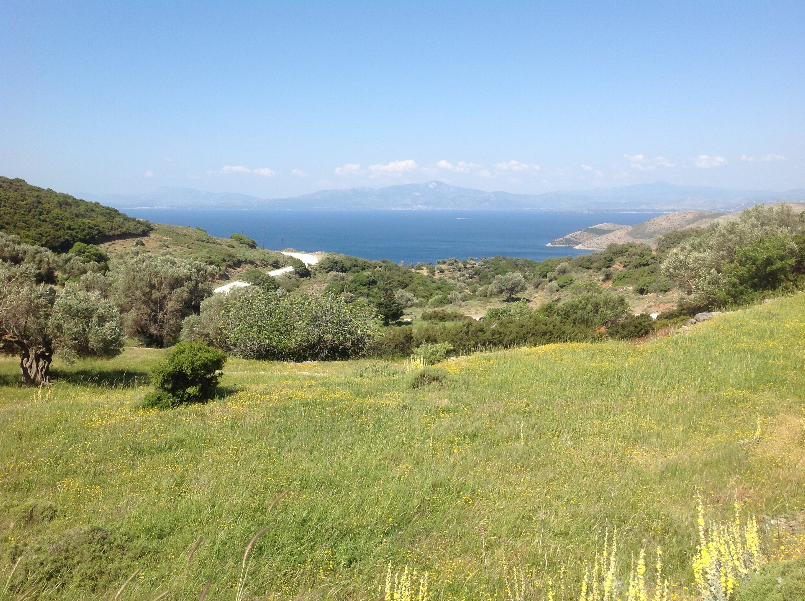 Terrain constructible de 20 068 m² avec vue sur la mer — Nimporio, Eubée du Sud (Grèce)
