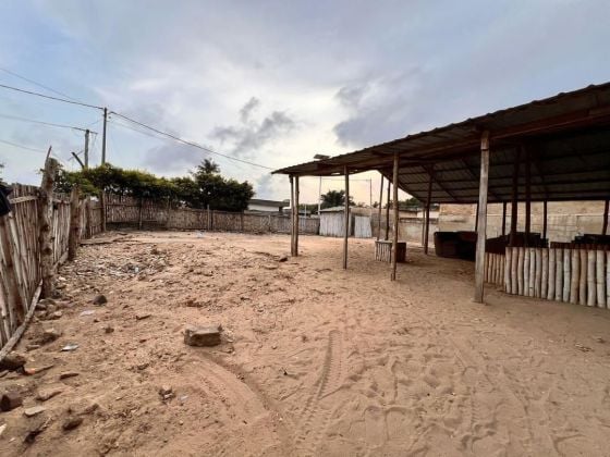 1 lot* vide *angle de rue* avec une vue directe au goudron à vendre ...