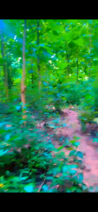 Vendita di un giacimento di gomma 