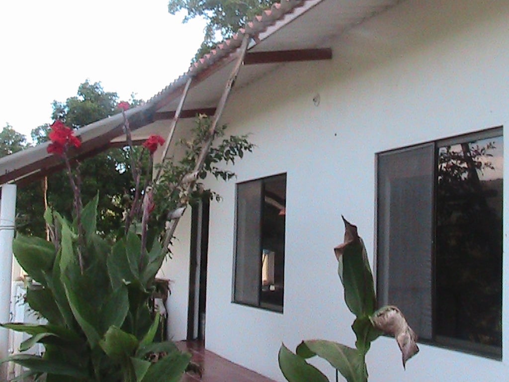 “Forest View Country Estate”