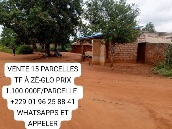 Vente de 20 parcelles 9000m² à Zè-glo avec Titre ...