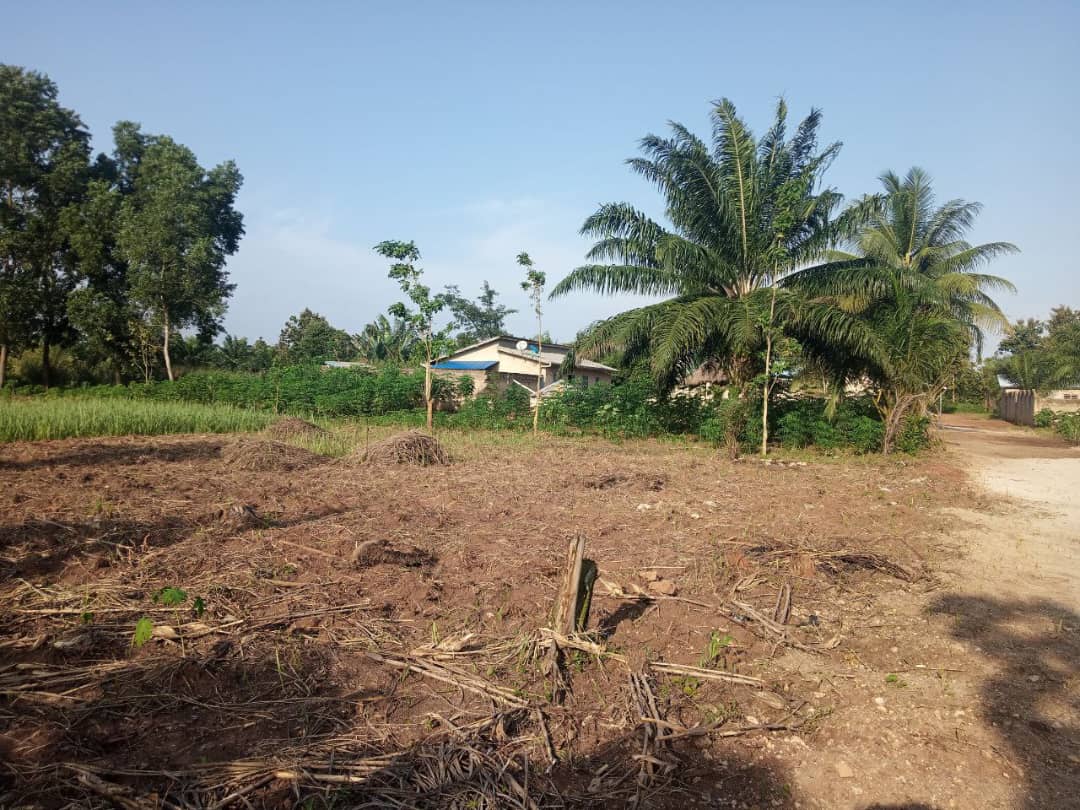 Bénin vente 20 Parcelles 9000m² Abomey-calavi