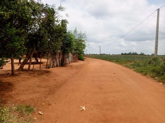 GLO GDIZ - Zè VENTE 20 PARCELLES 4500m² TF à 4km du ...