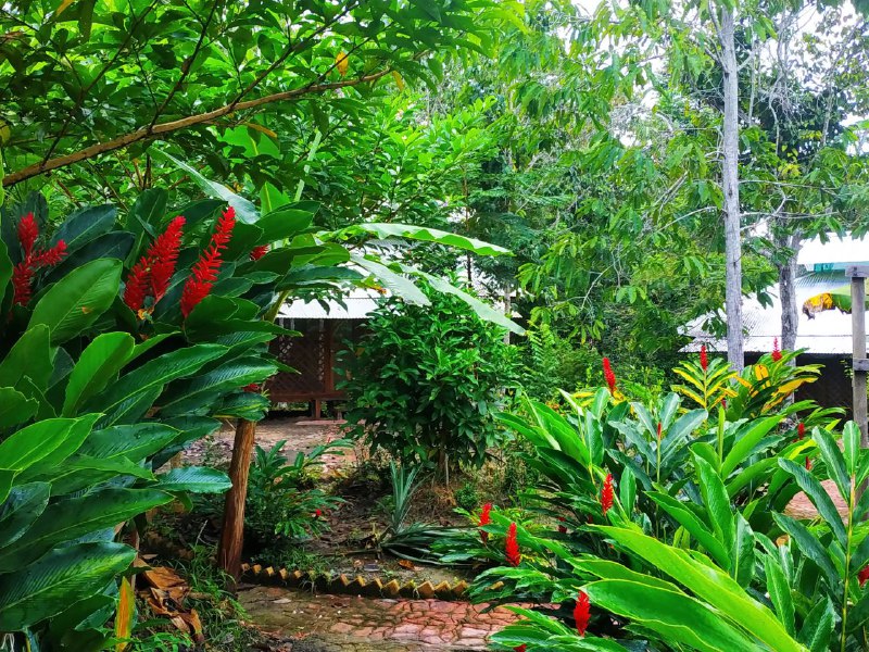 Immediately available, free of encumbrances, single owner.