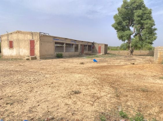 UN GRAND TERRAIN D'UNE SUPERFICIE D'UN HECTARE EN VENTE À GAMPELA ...