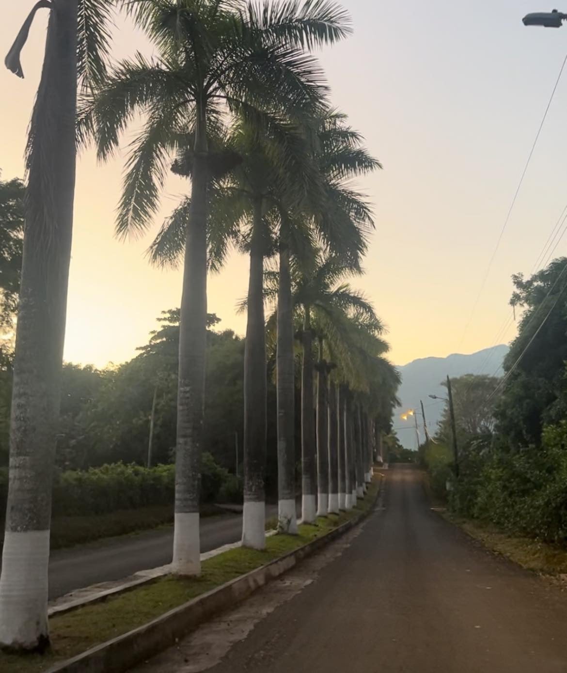 Costa Rica Orotina | REBAJADO, SE ESCUCHAN OFERTAS en condominio, 4.136 m²