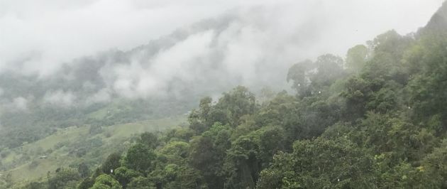 Low Impact Hospitality Project 13.5 Acres of Tropical Jungle Property for ...