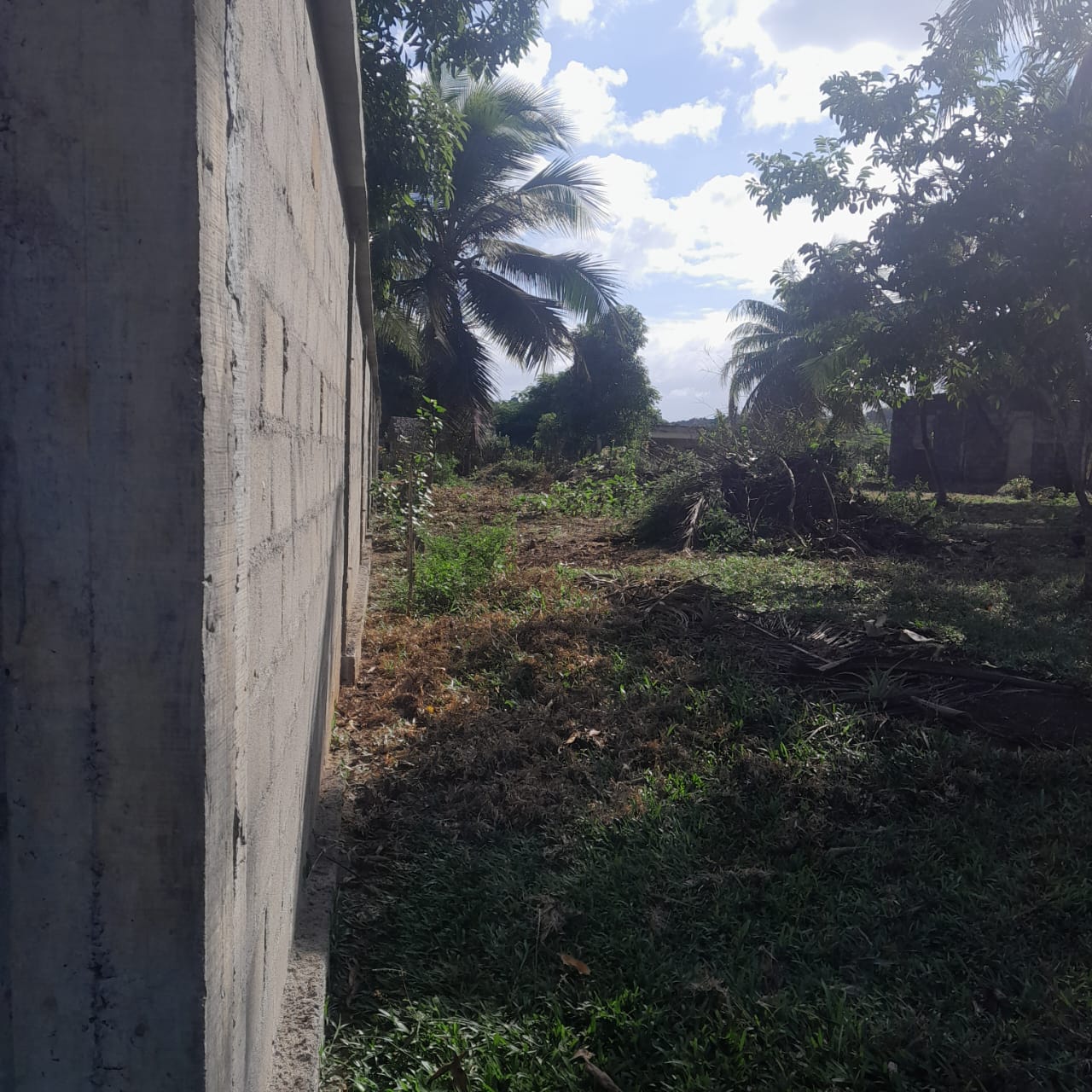 À vendre – Terrain de 3100 m² à Soavinandrina, Sambava (Madagascar)