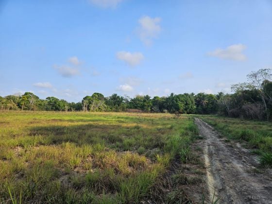 20 acres à Freshwater Creek, village de Hopkins