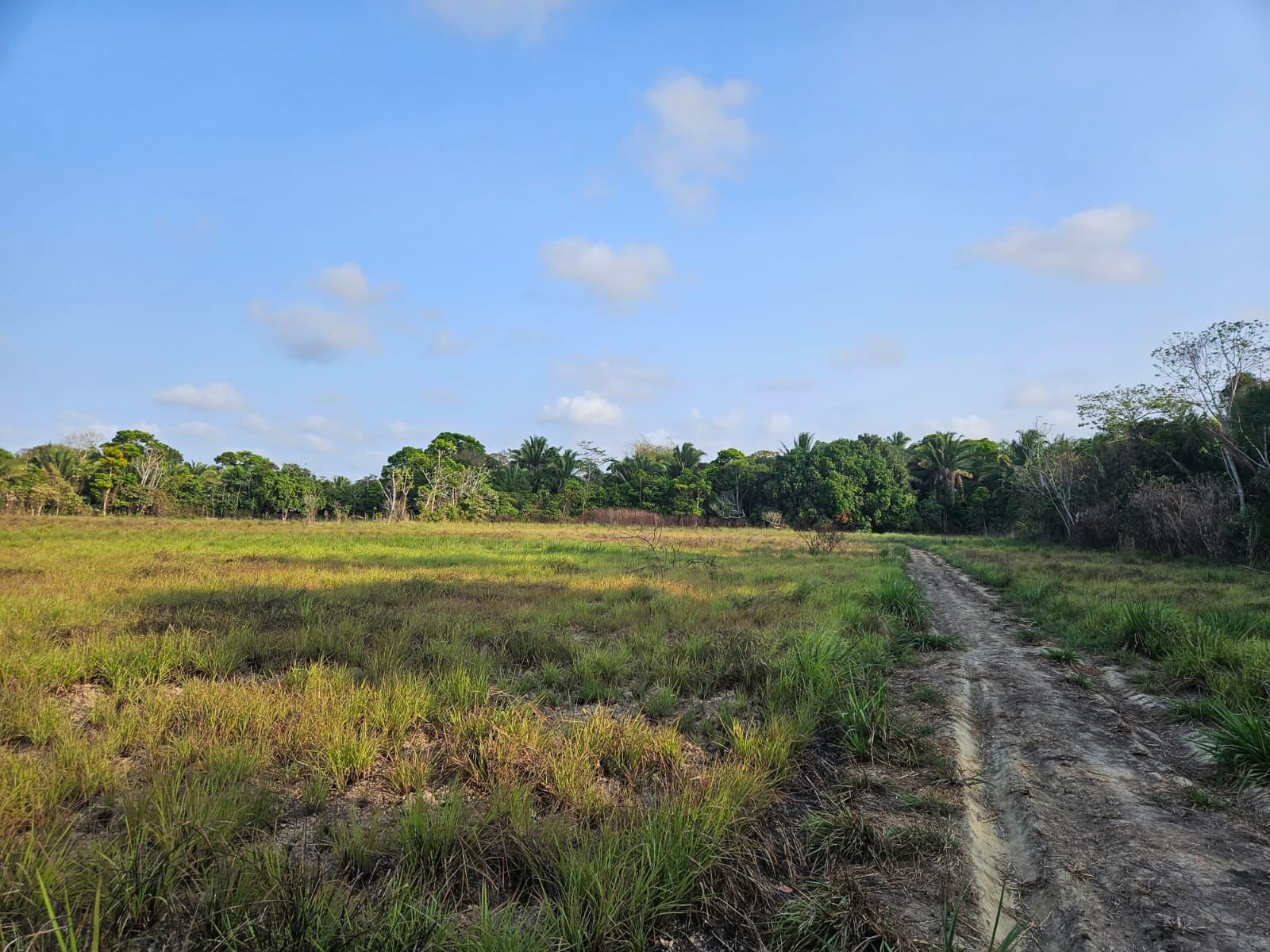 20 acres en Freshwater Creek Hopkins Village