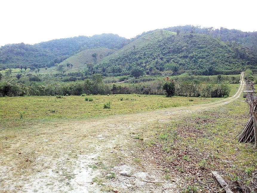 Excepcional granja ganadera establecida de 170 acres