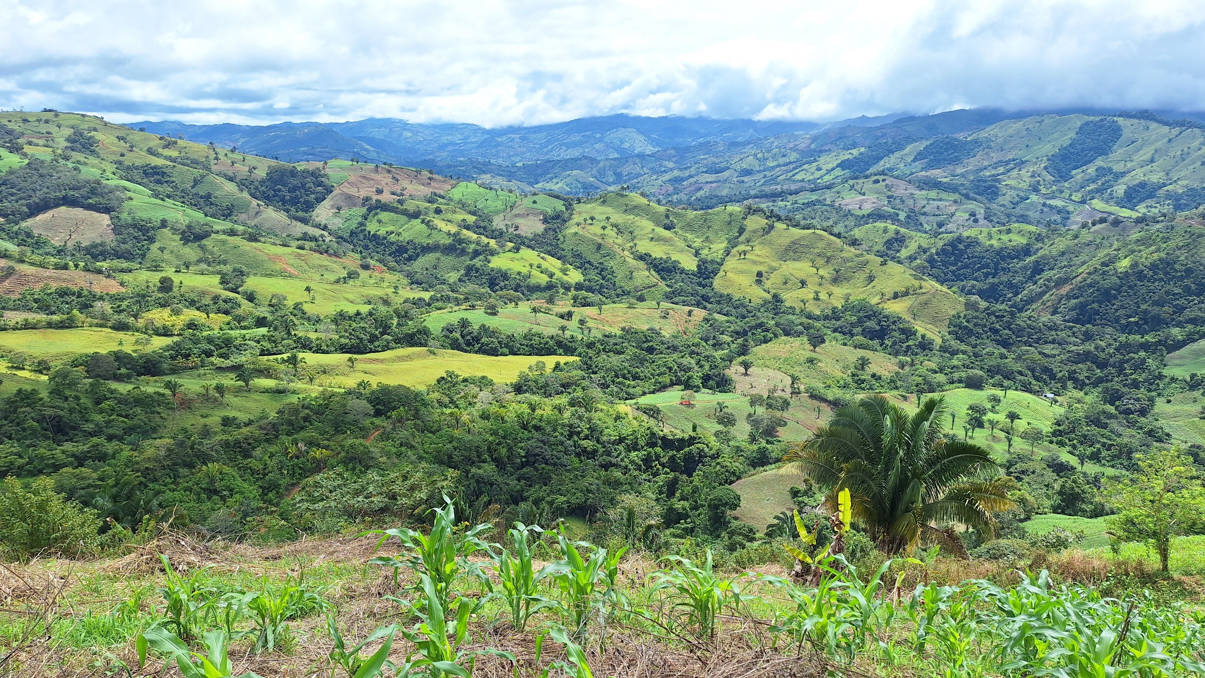 Beautiful 3.4-HA Land For Sale In Pejibaye — Spring Water & Views