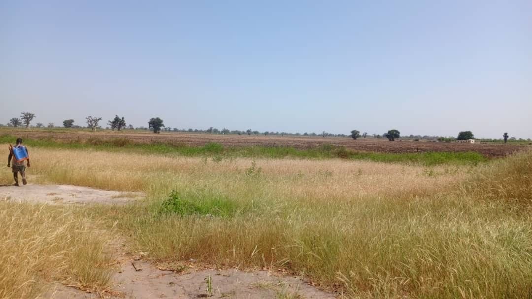 Terrains  2 hectares et demi à vendre à Louly Sénégal