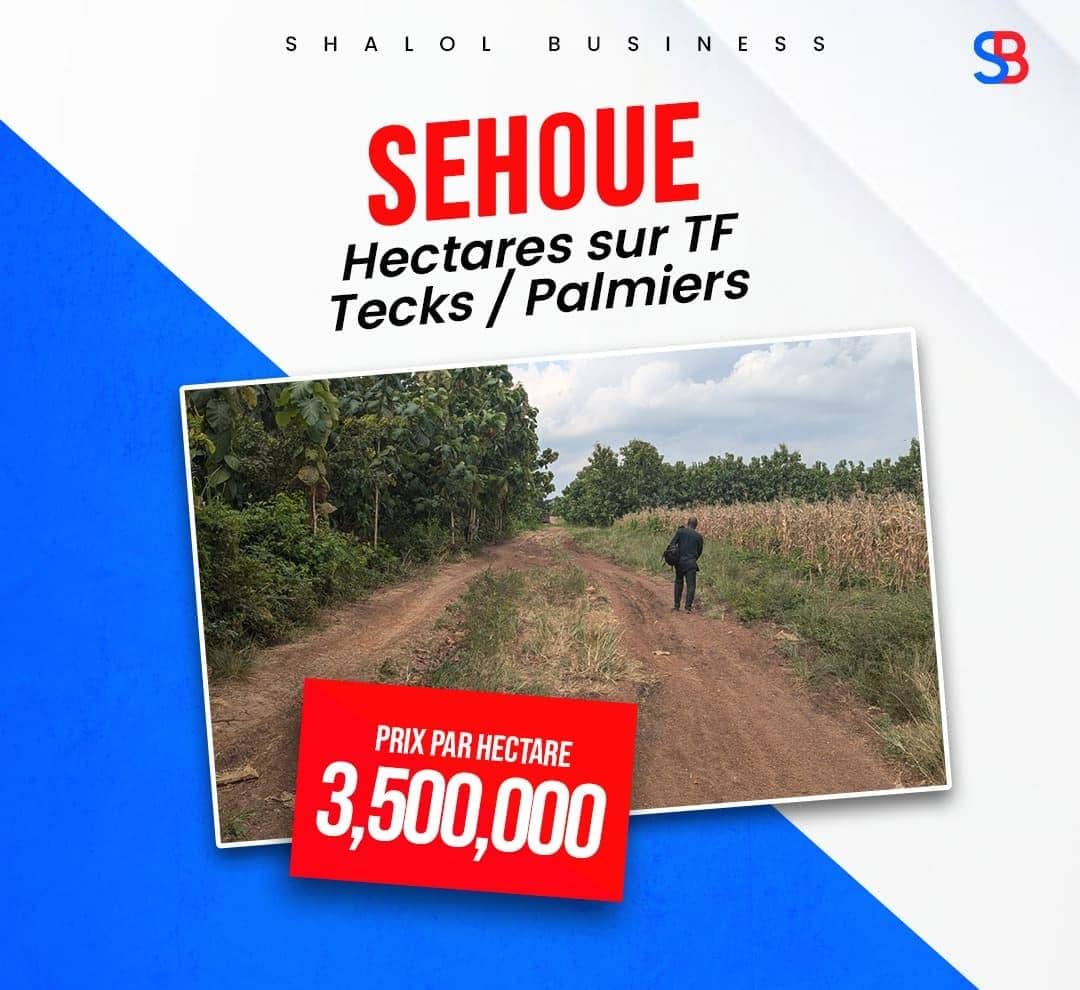 30.000 m² SUR TITRE FONCIER À  SÊHOUÊ COMMUNE DE TOFFO 