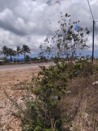 Terrain en bord de route à vendre près de Summer Jambo ...