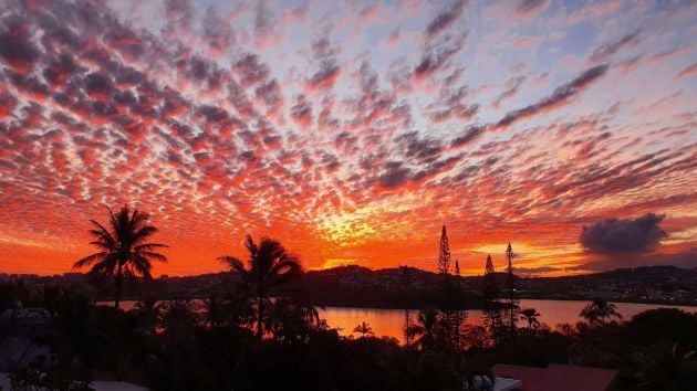 PROPOSE LOCATION GARDIENNAGE CHIENNE MAISON  T4