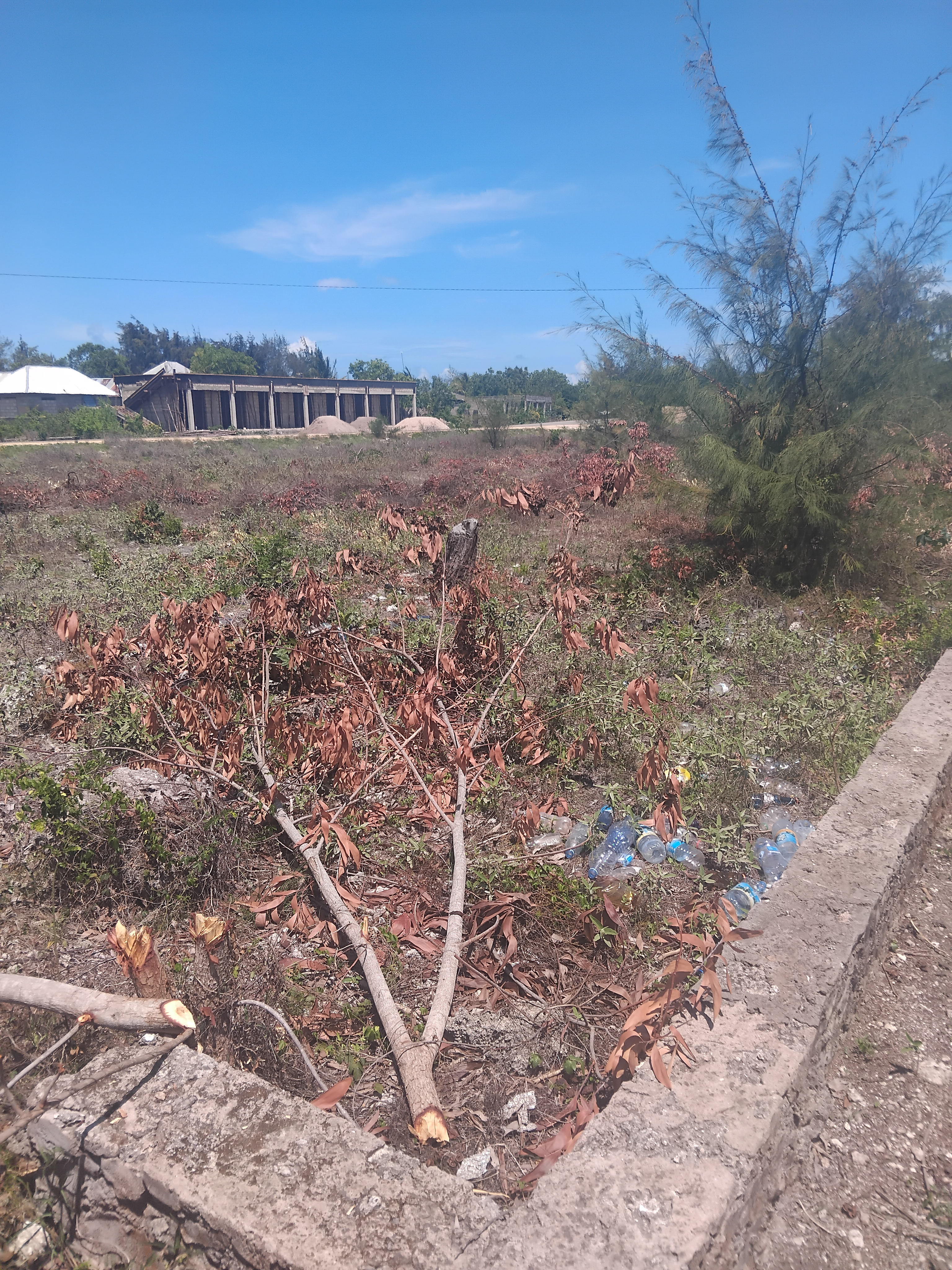 Terrain à vendre en bordure de route principale à Bwejuu, Zanzibar, Tanzanie. 
