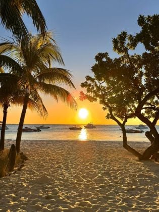 For rent in Albion – Modern villa with pool, rooftop & ocean view 