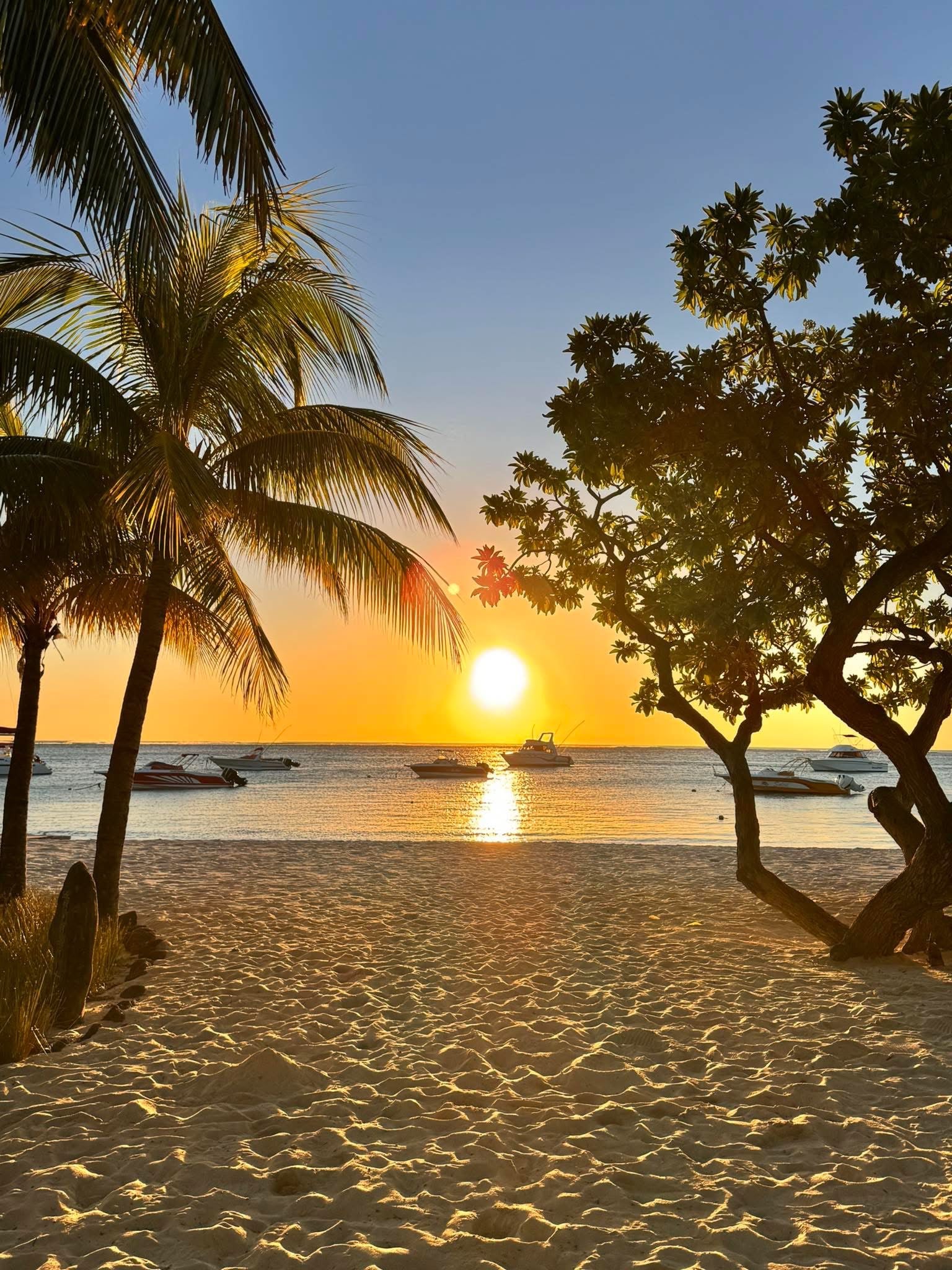 For rent in Albion – Modern villa with pool, rooftop & ocean view