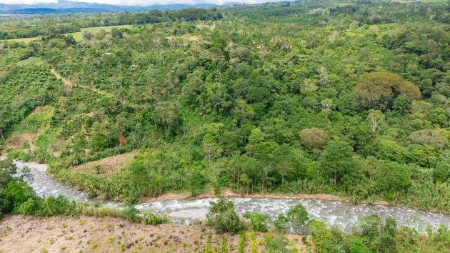 HERMOSA GRANJA DE 16 ACRES CON ARROYOS Y ACCESO AL RÍO EN SAN PEDRO.