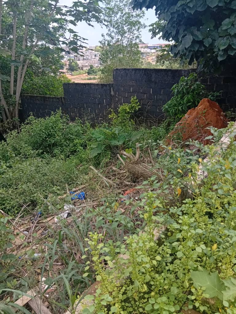 &#55356;&#57313; TERRENO IN VENDITA – COCODY ANGRÉ DJOROBITÉ 1, zona Miss Zahui. Superficie: 800 mq