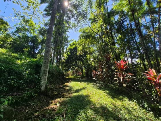 Preciosa finca de más de 10 hectáreas en el corazón ...