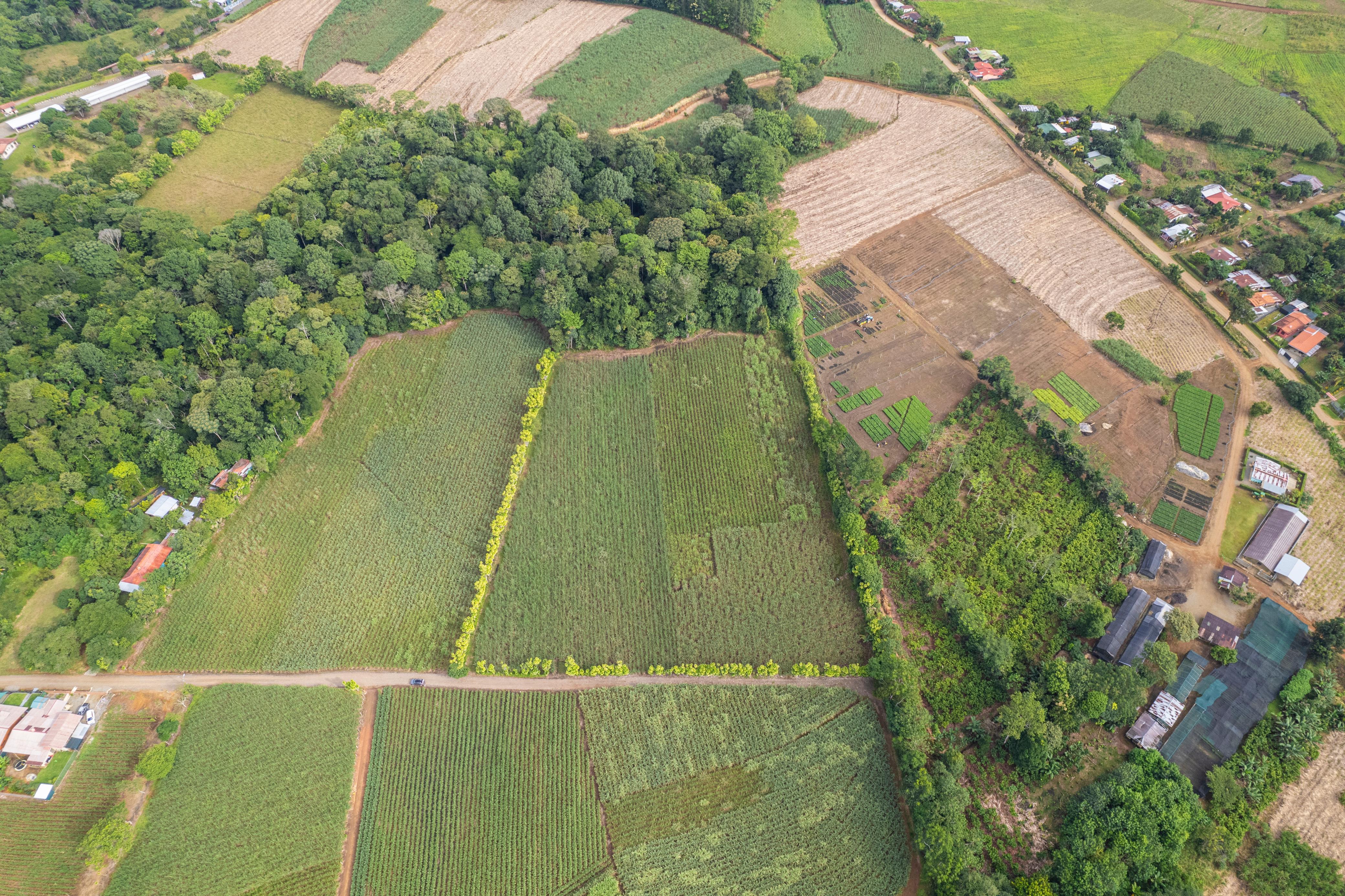 Prime 2.6-Hectare Property with Natural Spring & Easy Access — Peñas Blancas, Pérez Zeledón