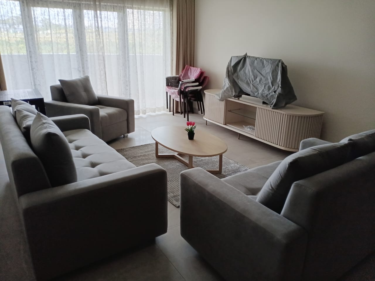 Two furnished apartments for rent in Sky Garden, Trianon