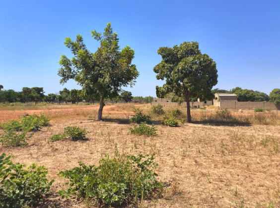 UNE PARCELLE PANTE COUPÉE DE 316 M² EN VENTE À ZAGTOULI ...