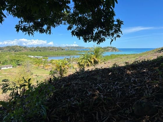 A VENDRE TERRAIN 1600 M2 ANDILANA NOSY BE