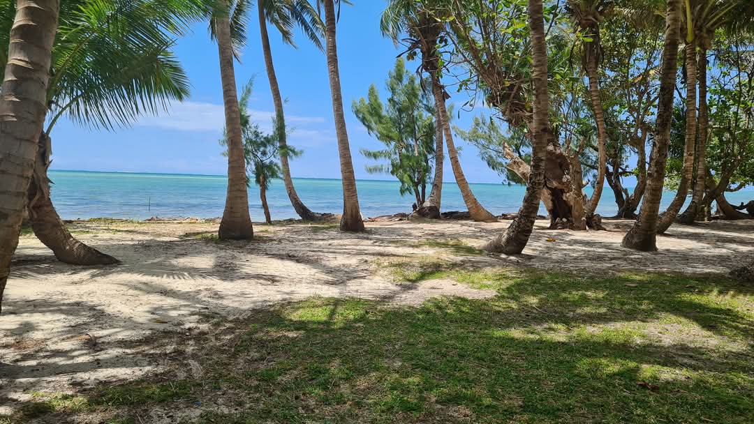 Ile sainte-marie, Superbe terains bord de mer 