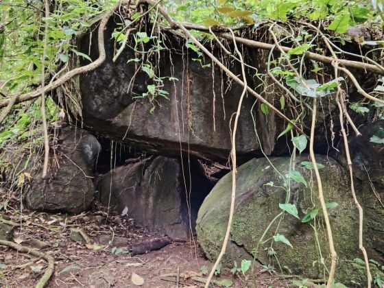 SE VENDE: IMPRESIONANTE FINCA DE 9 HECTÁREAS EN SAN BLAS CON ...