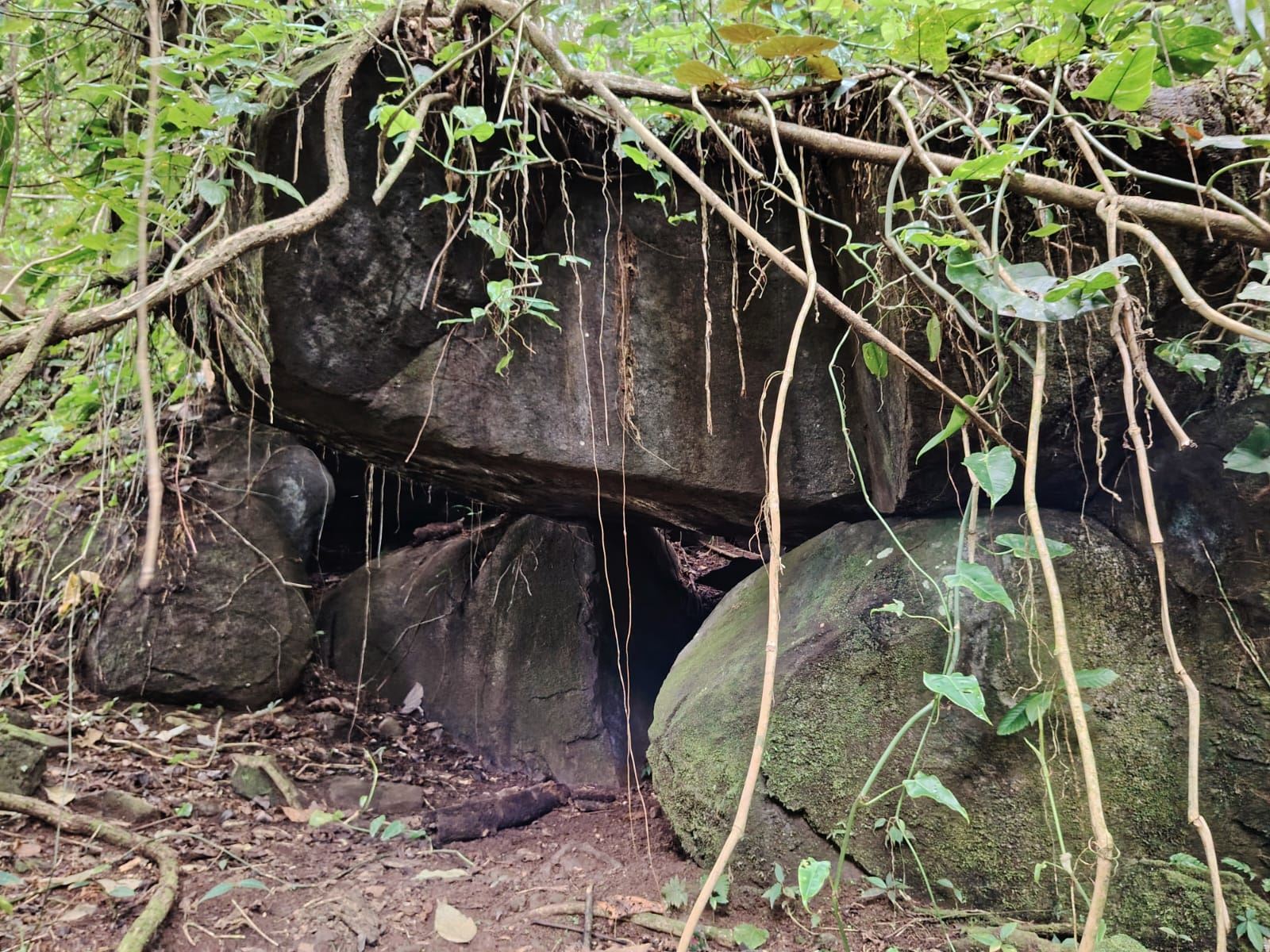 FOR SALE: STUNNING 9-HECTARE FARM IN SAN BLAS WITH SPRINGS