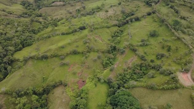 Se vende: 3,8 hectáreas en Pérez Zeledón con arroyo, ...